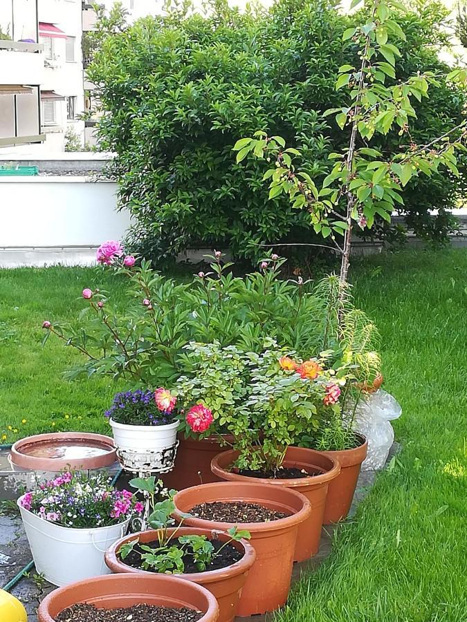Bed & Breakfast Кур Екстер'єр фото
